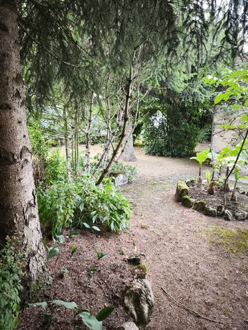 photo no. 2