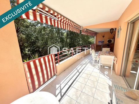 Spacieux T3 au calme absolu, terrasse, box et cave