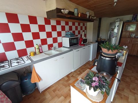 photo no. 9