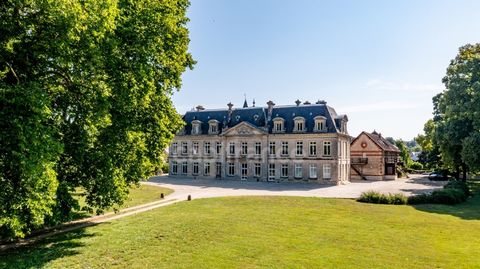 Château XVIIIème siècle à vendre Soissons (02)
