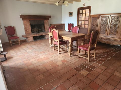 photo no. 5