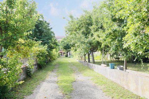 photo no. 5