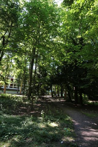 photo no. 10