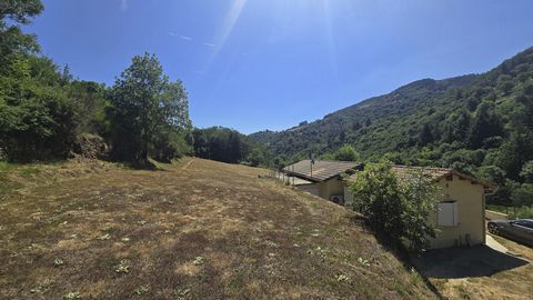 photo no. 2