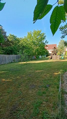 photo no. 12