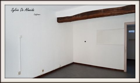 photo no. 2