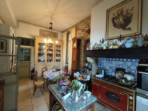 photo no. 9