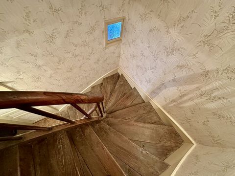 photo no. 12