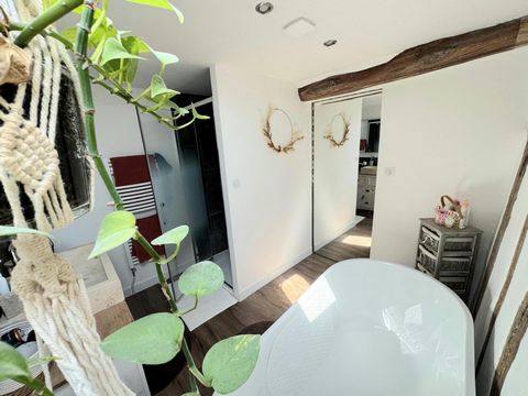 photo no. 16