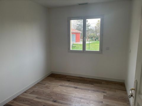 photo no. 8