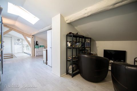 photo no. 12