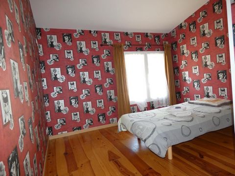 photo no. 12