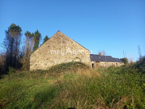 photo no. 3