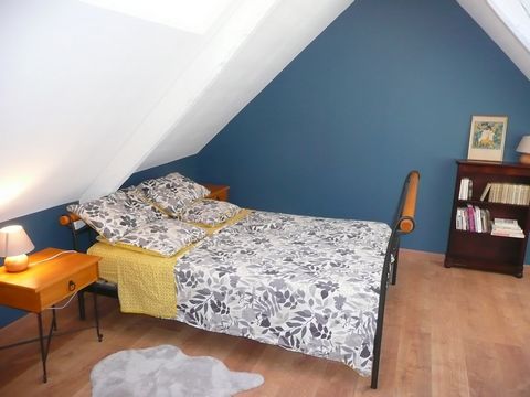 photo no. 11
