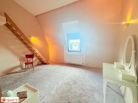 photo no. 11