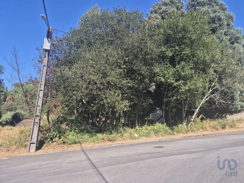 Oportunidade Única – Terreno Urbano para Construção em Arrifana, Santa Maria da Feira Rua da Fontanheira, 3700-415 Arrifana Procura um terreno com boa localização para construir a sua casa? Este lote tem tudo o que precisa: bons acessos, zona tranqui...