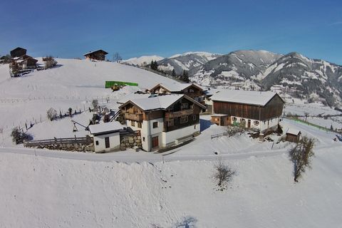 Ideal for nature lovers, families, and skiers! This charming and sunny apartment is located right on the Maiskogel ski slope in Kaprun, offering breathtaking views of the valley and surrounding mountains. Set in a traditional Alpine-style house, it a...