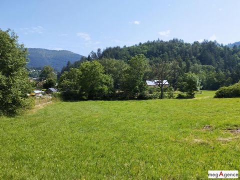 Rare à Florac ! Terrain 3096 m² constructible + source
