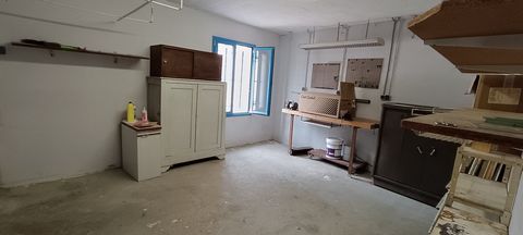 photo no. 12