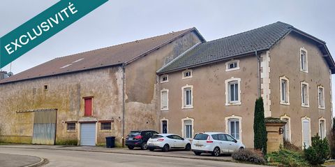 photo no. 13