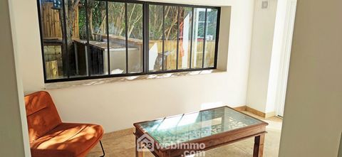 photo no. 12