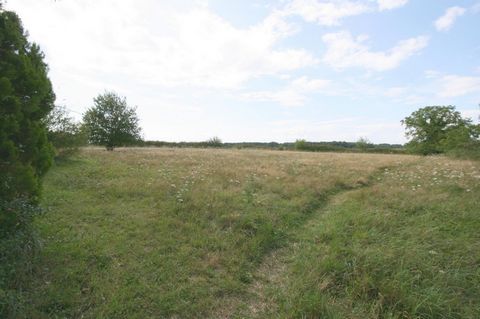 photo no. 2