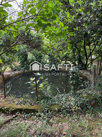 photo no. 2