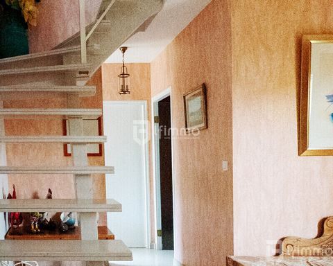 photo no. 7