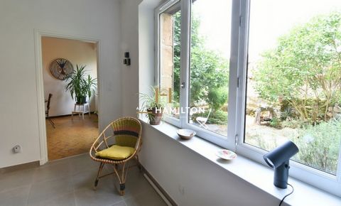 photo no. 6