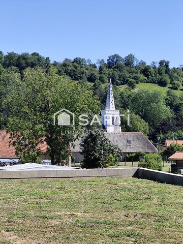 photo no. 10