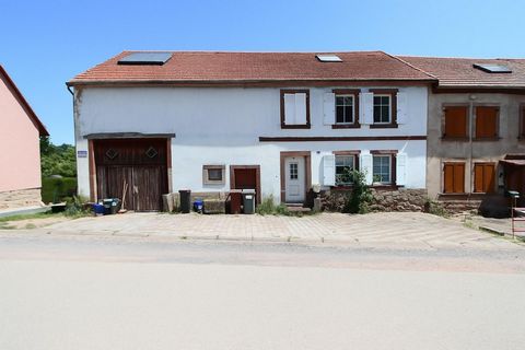 photo no. 4