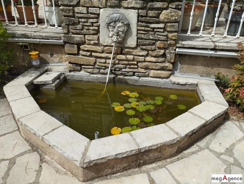 photo no. 8
