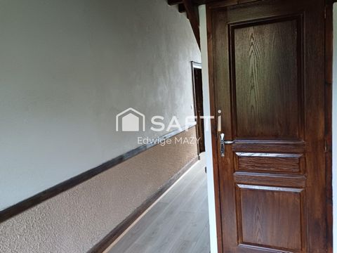photo no. 11