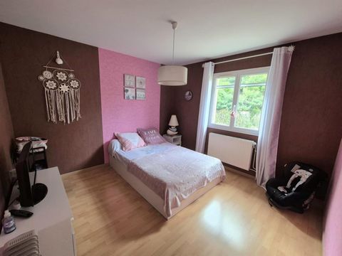 photo no. 12
