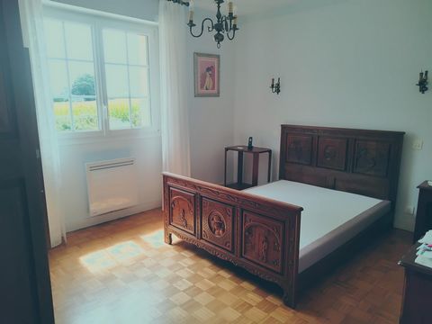 photo no. 6