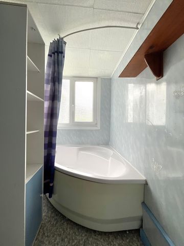 photo no. 8