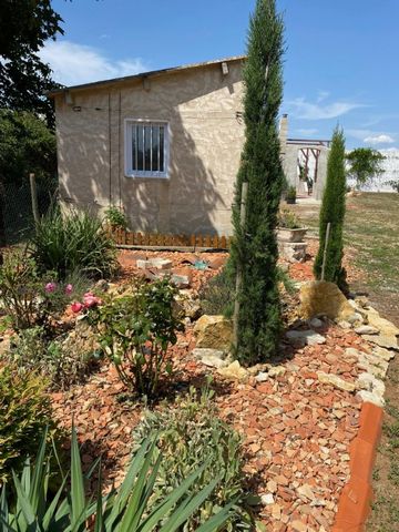 photo no. 5