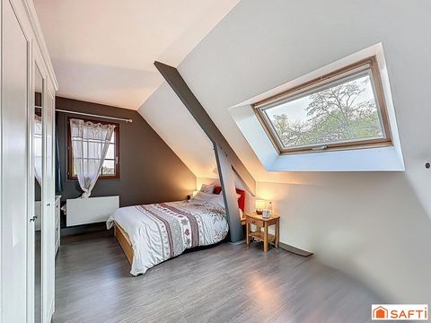 photo no. 17