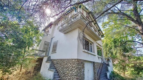 photo no. 1