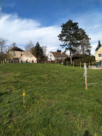 photo no. 4