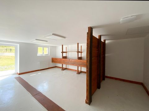 photo no. 8