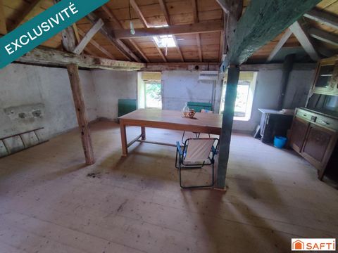 photo no. 14