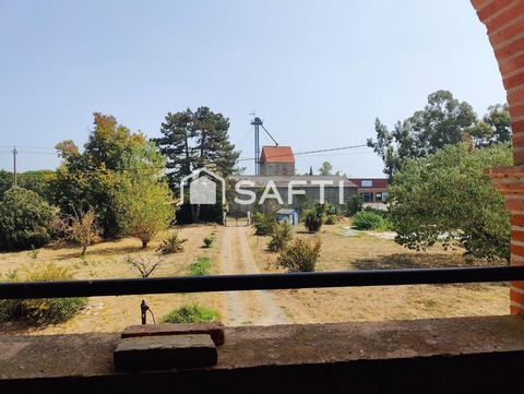 photo no. 15