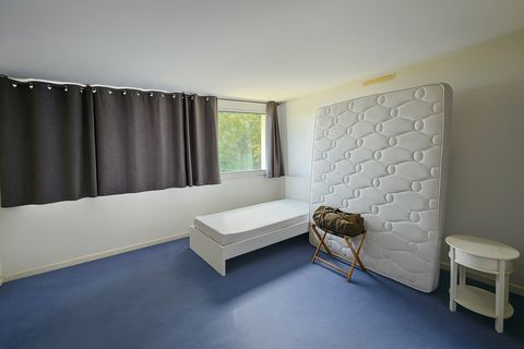 photo no. 5