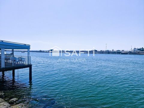 photo no. 5