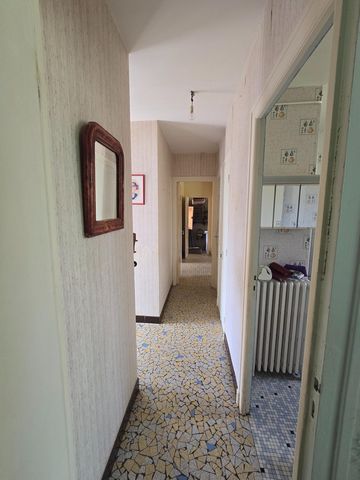 photo no. 12