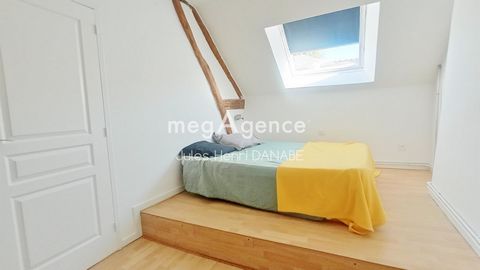 photo no. 6