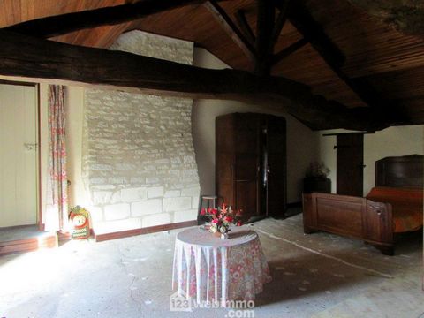 photo no. 16