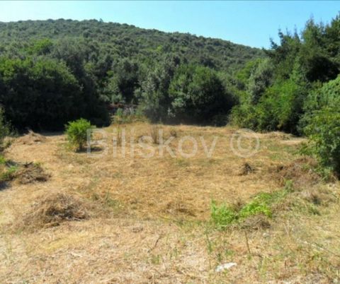 Sreser, Janjina, building landwe sell 3 plots, which together have an area of 827m2.The plot is located 1200m from the sea, has a road and there is a large village cistern to the plot.Everything is cleaned and arranged. www.biliskov.com  ID: 11251-1