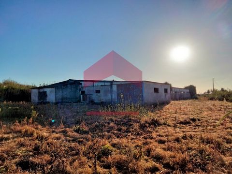 867 sqm Warehouse inserted in land with a total area of 4920sqm. Located in a quiet place, close to shops and services. Panoramic view over the countryside and excellent sun exposure. 13 km from Lourinhã and 15 km from the beaches. *The information p...